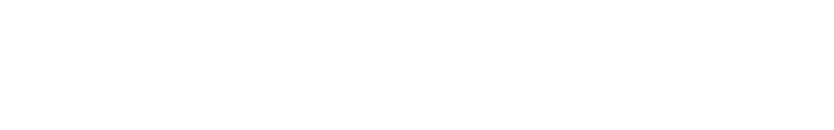 Virtus Logo